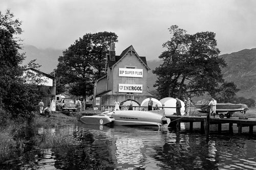 Bluebird Photograph by Geoff Hallawell
