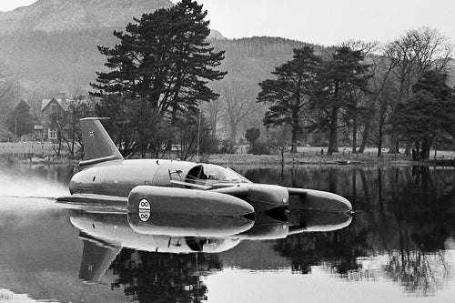Bluebird Photograph by Paul Alonby