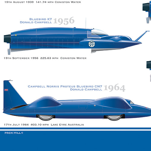 Bluebirds Poster by Mick Hill