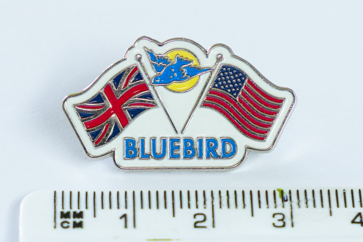 Bluebird pin badge